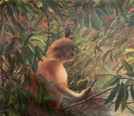 Scimmia Giungla Animali Foresta tropicale Natura selvaggia Pittura esotica