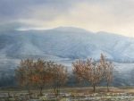 Autunno 70% Prima neve Contrasto cromatico Cambio di stagione Foglie e neve Paesaggio unico