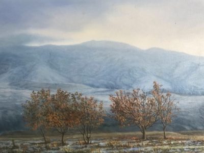 Autunno 70%Prima neve
Contrasto cromatico
Cambio di stagione
Foglie e neve
Paesaggio unico