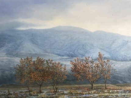 Autunno 70% Prima neve Contrasto cromatico Cambio di stagione Foglie e neve Paesaggio unico