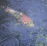 Pesce Sott'acqua Gocce di pioggia Vita marina Movimento Colori dell'acqua