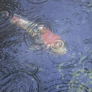 PesceSott'acqua
Gocce di pioggia
Vita marina
Movimento
Colori dell'acqua