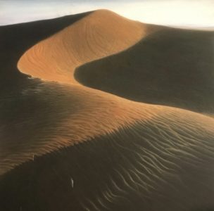 DesertoDubai
Sabbia
Dune
Calore
Paesaggio esotico