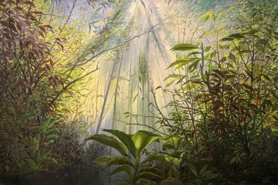 Giungla,foresta,selvaggio,Jungle..