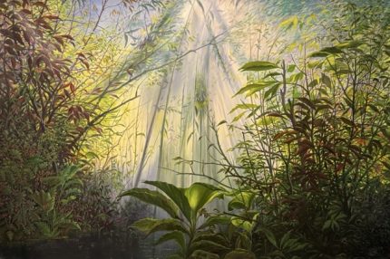 Giungla,foresta,selvaggio,Jungle..